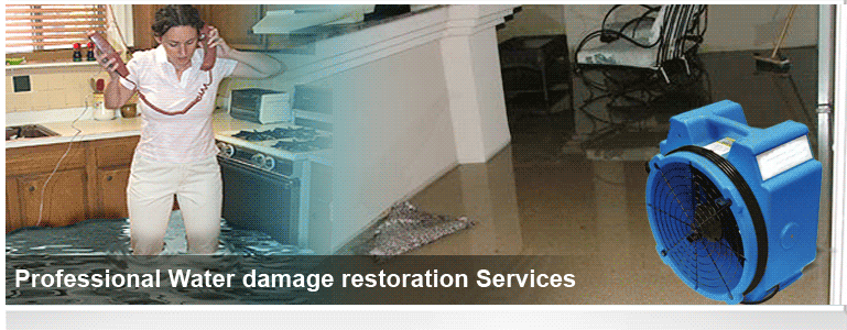 Professional Water Damage Restoration Services