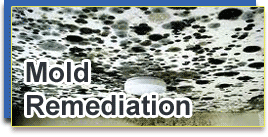 Mold Remediation